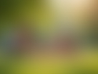 Familien unterstützen: Wege zu nachhaltiger Gesundheit