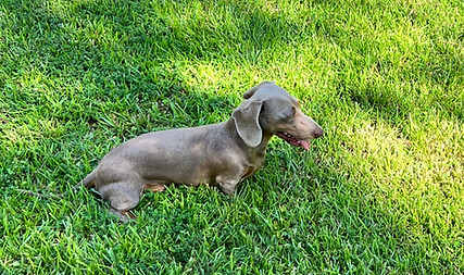 IMG_2181_edited_edited.jpg