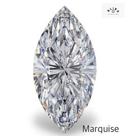 Marquise