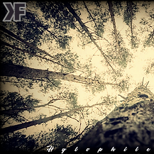 Karma Factory Hylophilia w titles.png