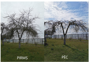 Screenshot 2020-05-12 at 09.52.23.png