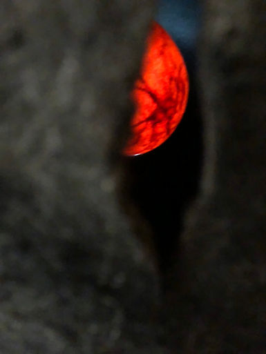 IMG_0181.jpeg