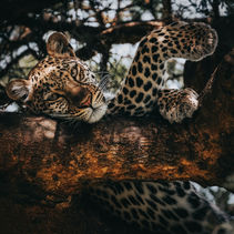 Queen Elisabeth National Park, Uganda