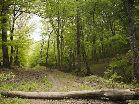 Finding the Everyday Courage You Need to Live