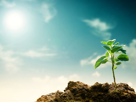 The Secret to Inner Health and How You Can Have It