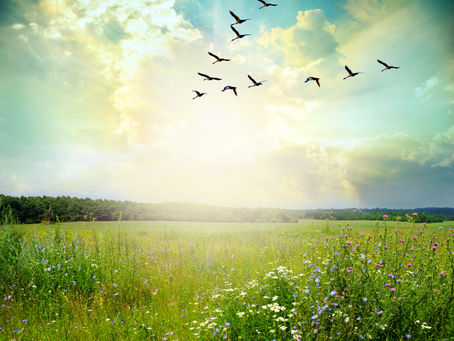 A Practice for Living Well