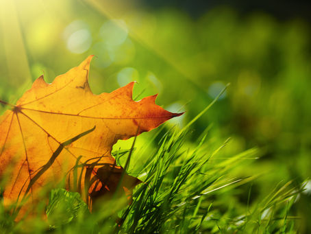 A Time to Gather Yourself