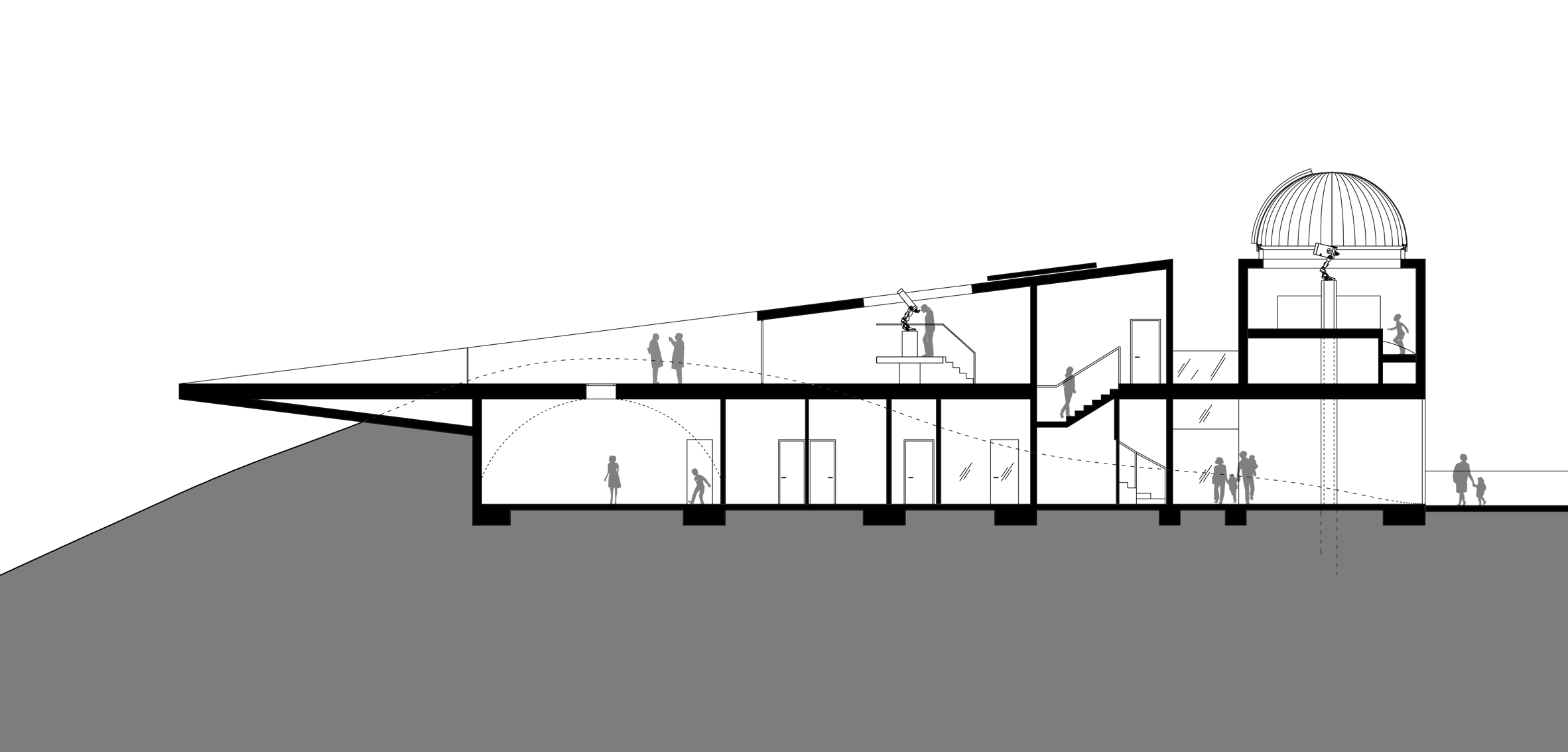 section
