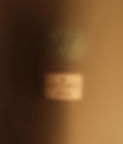 imgi_12_587454442_17860054692557067_8409556699374788736_n_edited.jpg