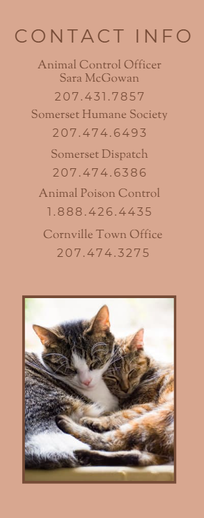 ACO info.png