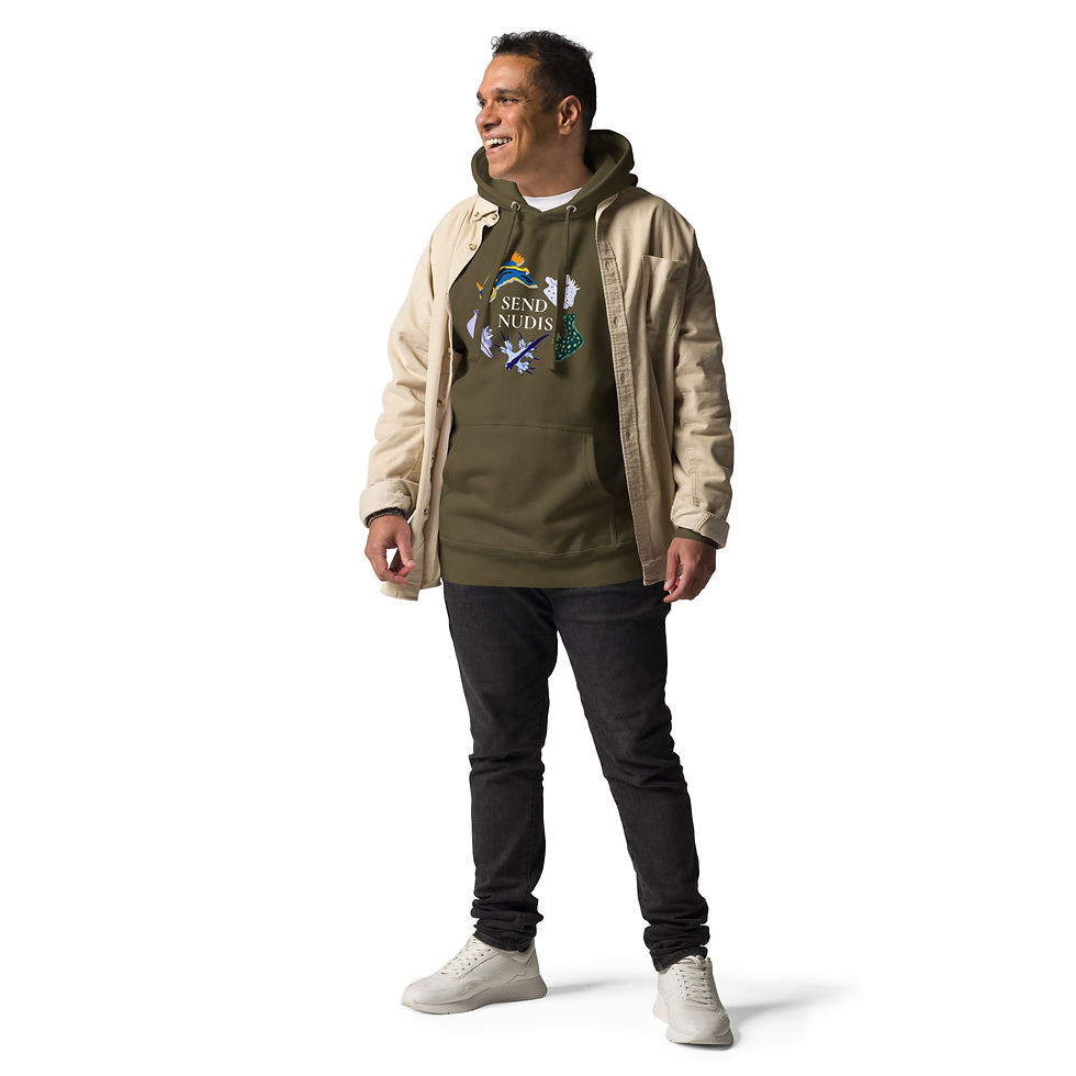 Thumbnail: Send Nudis (White Font) Hoodie