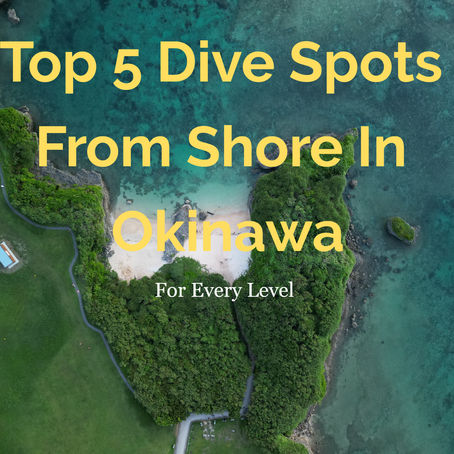 Top 5 Shore Dive Spots in Okinawa for Every Level