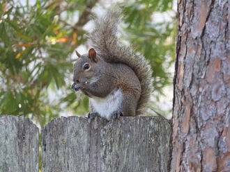 Spinning Out of Control