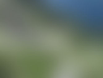 Driving Communication