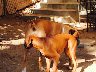 Tenacious Persistence