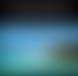 Connected Perspectives