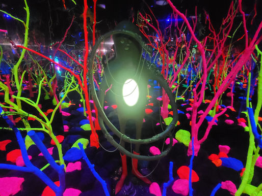 Enter the Multiverse: Exploring All 5 Meow Wolf Locations Across the U.S.