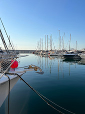 IMG_0031.jpeg