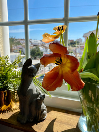IMG_9002.jpeg