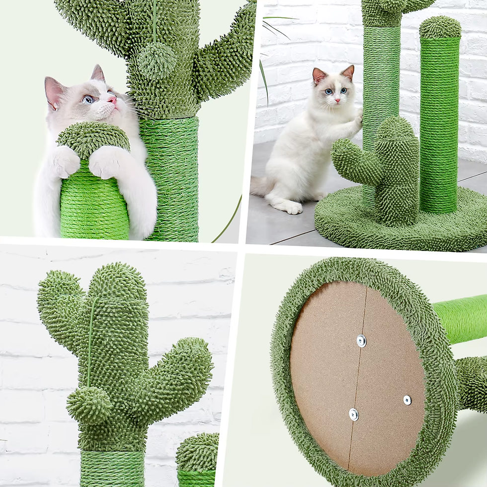 Thumbnail: Cactus Cat Scratcher Cat Scratching Post