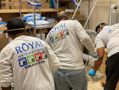 Team - Royal Water Damage - #royalwaterdamage - #doxidonut.jpeg