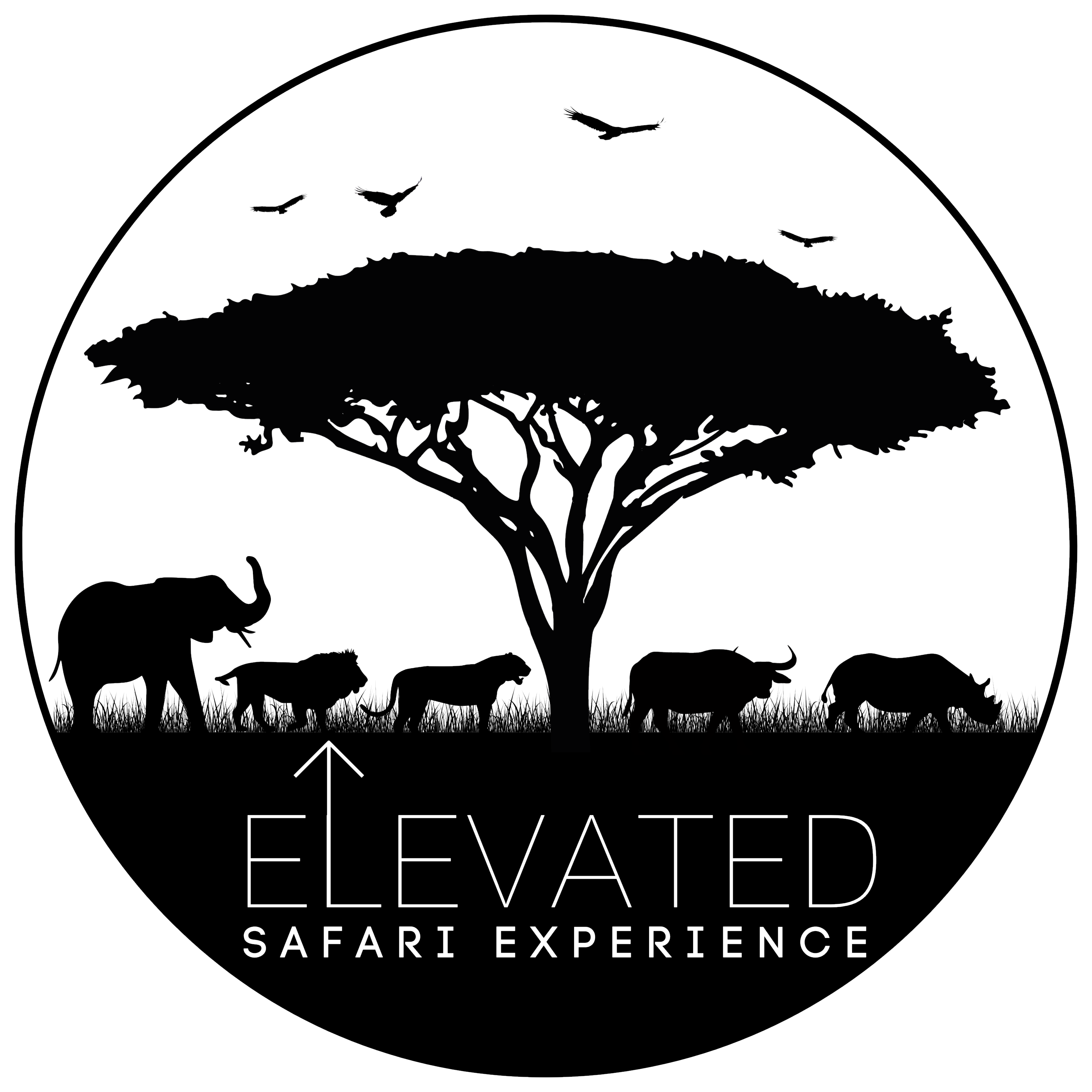 ESE Official Logo_edited.png