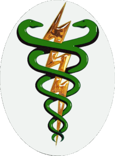 fisioterapeuta idoso
