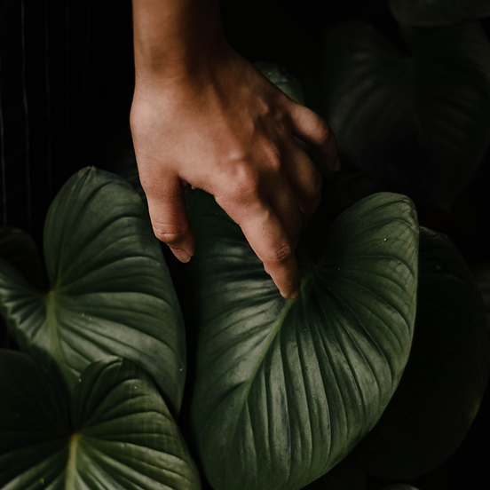 organicspa skincare products