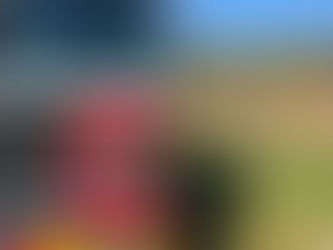 BRUSH FIRE-SMALL
PEQUEA TOWNSHIP~ MILLWOOD RD~DOGWOOD LN/MAPLEWOOD CIR~BR60,ENG60,TAN60,ENG55~2024-10-18 13:43:06