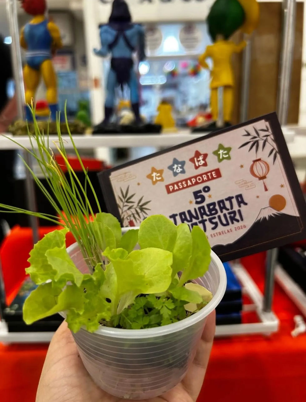 Tanabata Matsuri chega à 5ª edição em BH com novidades e espaço para artistas independentes