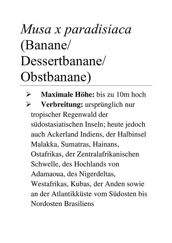 Großer_Steckbrief_Musa_x_paradisiaca.jpg