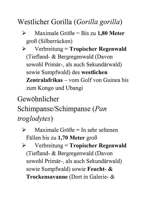 Homininae und Überlegungen über diese von Christopher Noč - Teil 2.jpg