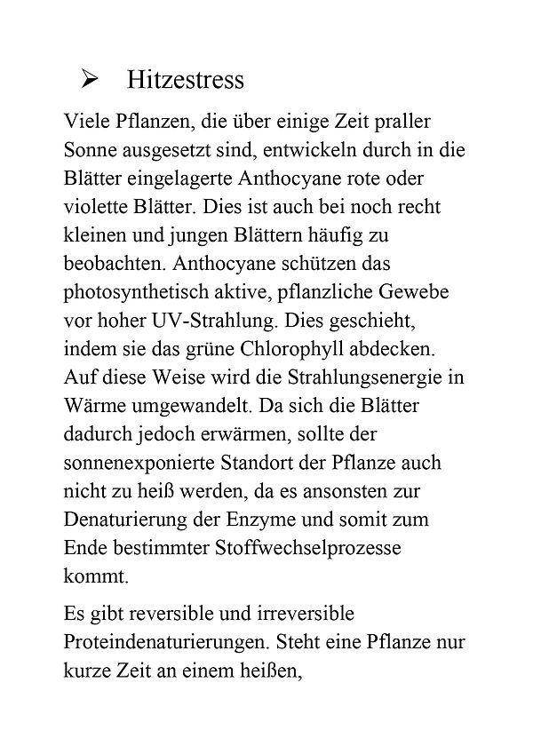 Überlegungen von Christopher Noč über das Auftreten roter Stiele und Blätter - Teil 6.jpg