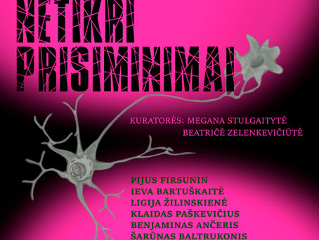 Grupinė tapybos paroda „Netikri prisiminimai"