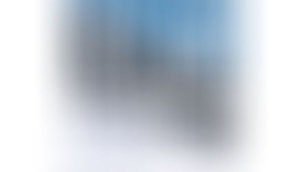 Kaune – seniausio Estijos menininkų kolektyvo paroda