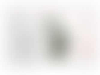 DALIA MATULAITĖ. Skulptorė, jos darbai ir mes.