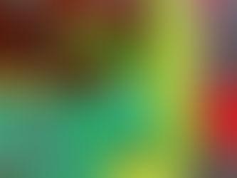 Vandos Padimanskaitės kūrybos paroda „Širdis ir smegenys“