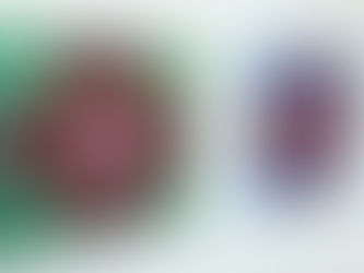 Danguolė Brogienė | OPTINIS ŽAISMAS