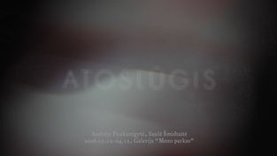 Andrėjos Puskunigytės ir Saulės Šmidtaitės paroda „Atoslūgis“ galerijoje „Meno parkas“