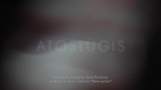 Andrėjos Puskunigytės ir Saulės Šmidtaitės paroda „Atoslūgis“ galerijoje „Meno parkas“