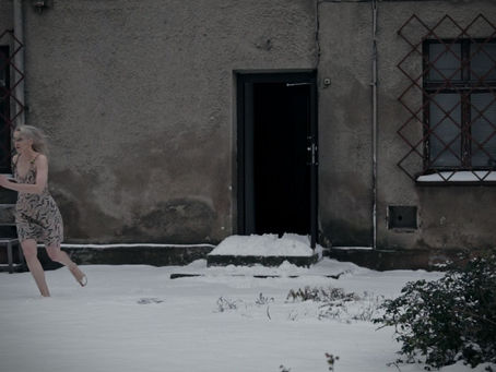 Klaipėdos galerijoje – Liudos Liaudanskaitės paroda „Suknelė vasarai arba kaip gerai mirti“