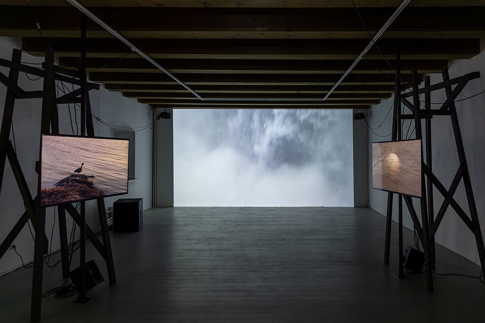 Giedriaus Akelio nuotr.