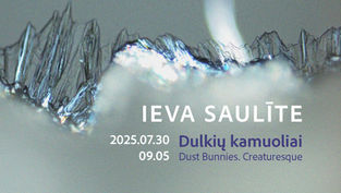 Paroda „Dulkių kamuoliai / Dust Bunnies. Creaturesque” galerijoje „S_IN“