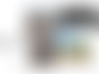 Virginijaus Kinčinaičio paroda „Somnia Urbana“