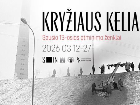 Nauja paroda LDS Šiaulių galerijoje S_IN