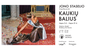 Kvietimas į parodą Drobės galerijoje / Jono Staselio paroda "Kaukių balius"