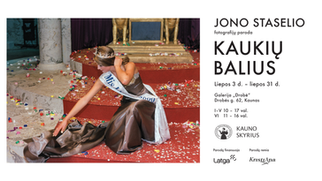 Kvietimas į parodą Drobės galerijoje / Jono Staselio paroda "Kaukių balius"