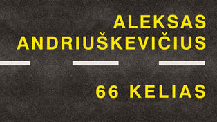 Alekso Andriuškevičiaus paroda „66 kelias“