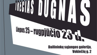 Tarpdisciplininio meno kūrėjų sekcijos narių paroda „Trečias dugnas“