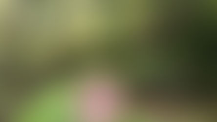 Aušros Vaitkūnienės personalinė paroda ir knygos pristatymas